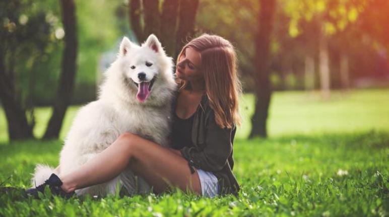 狗狗不爱听话怎么办,怎么解决狗狗过于粘人的问题