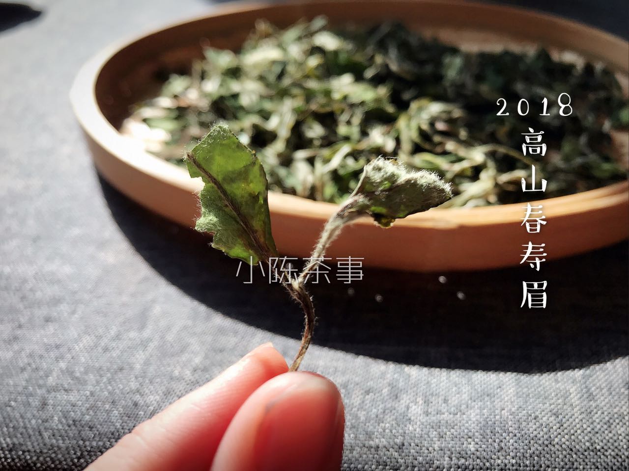 分享正宗福鼎白茶,白茶的十个问答