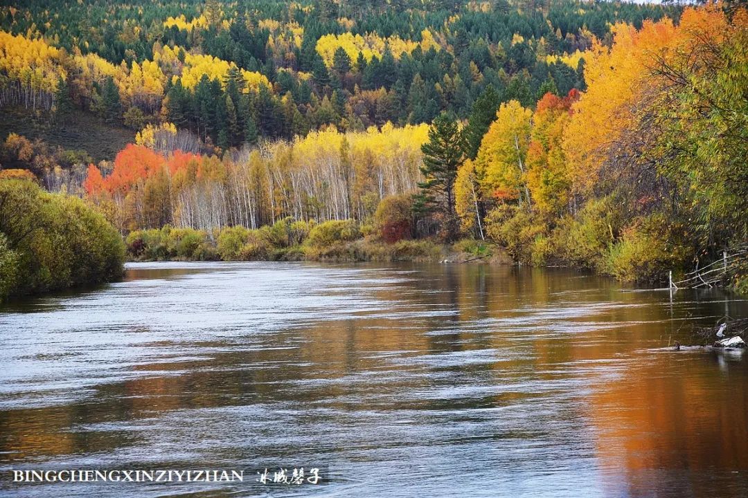 深秋的大兴安岭色彩斑斓,大兴安岭的秋天美景