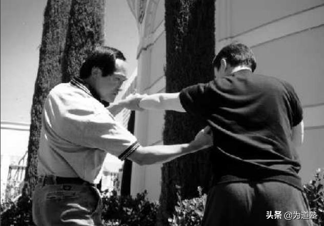 为道塾·截拳之道|如水适应：肢体表达的艺术之李小龙截拳道