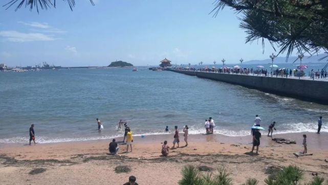 青岛至新疆自驾旅游攻略及景点,五一出游青岛免费旅游景点大全