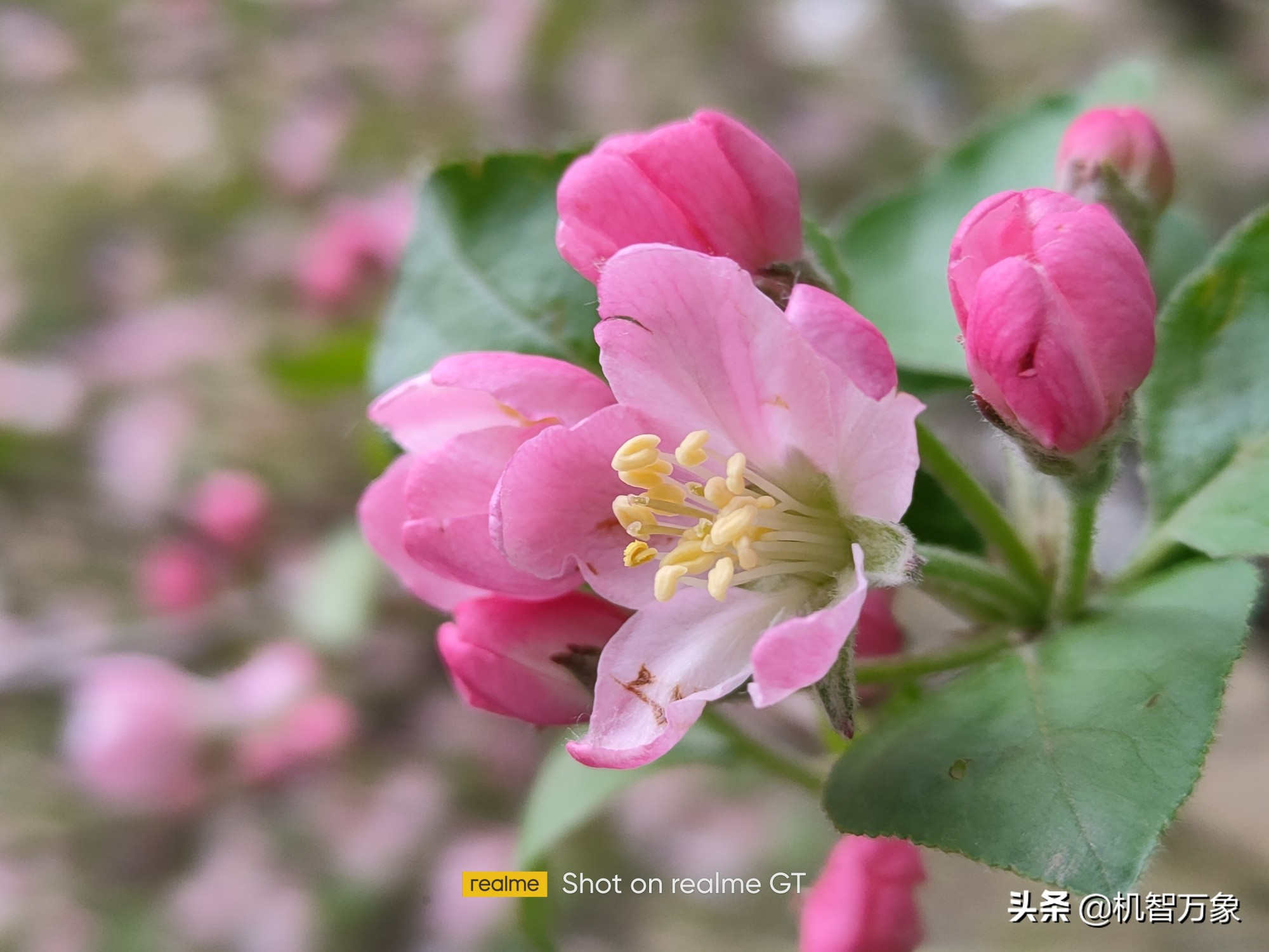 realme真我gt黄色沉浸式开箱,realme全新性能旗舰真我gt发布