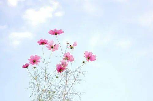 健身朋友圈简短走心的句子,生气说说简短走心的朋友圈