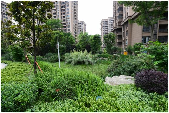 两江新区悦来生态新城,两江新区悦来