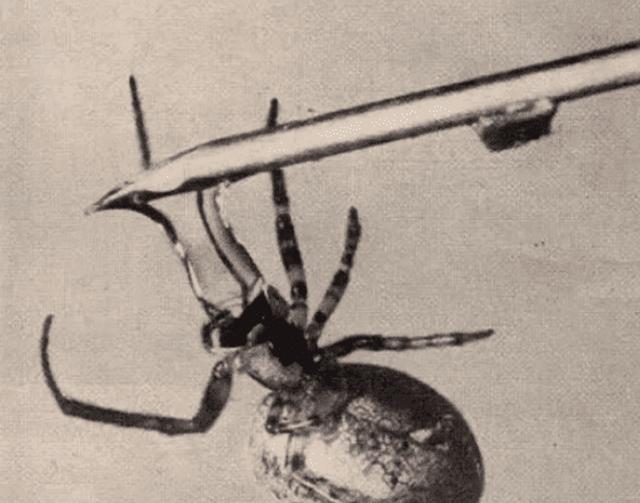 品毒是什么意思,品毒是什么