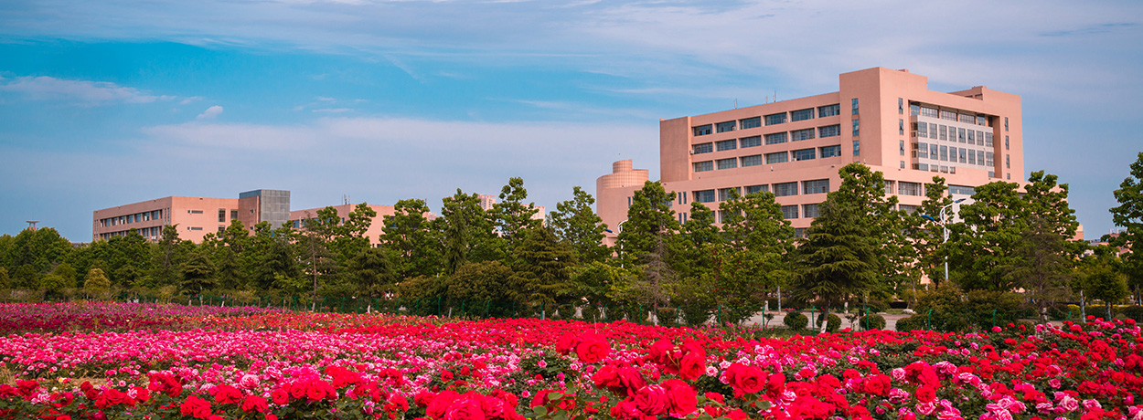 河南的中职学校有哪些,河南省有多少个师范学院