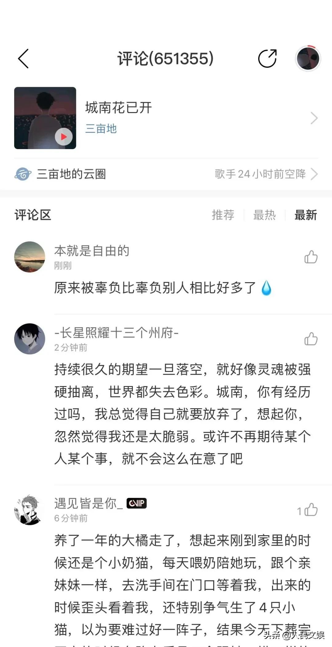 别嘲“网抑云”，真矫情好过假坚强