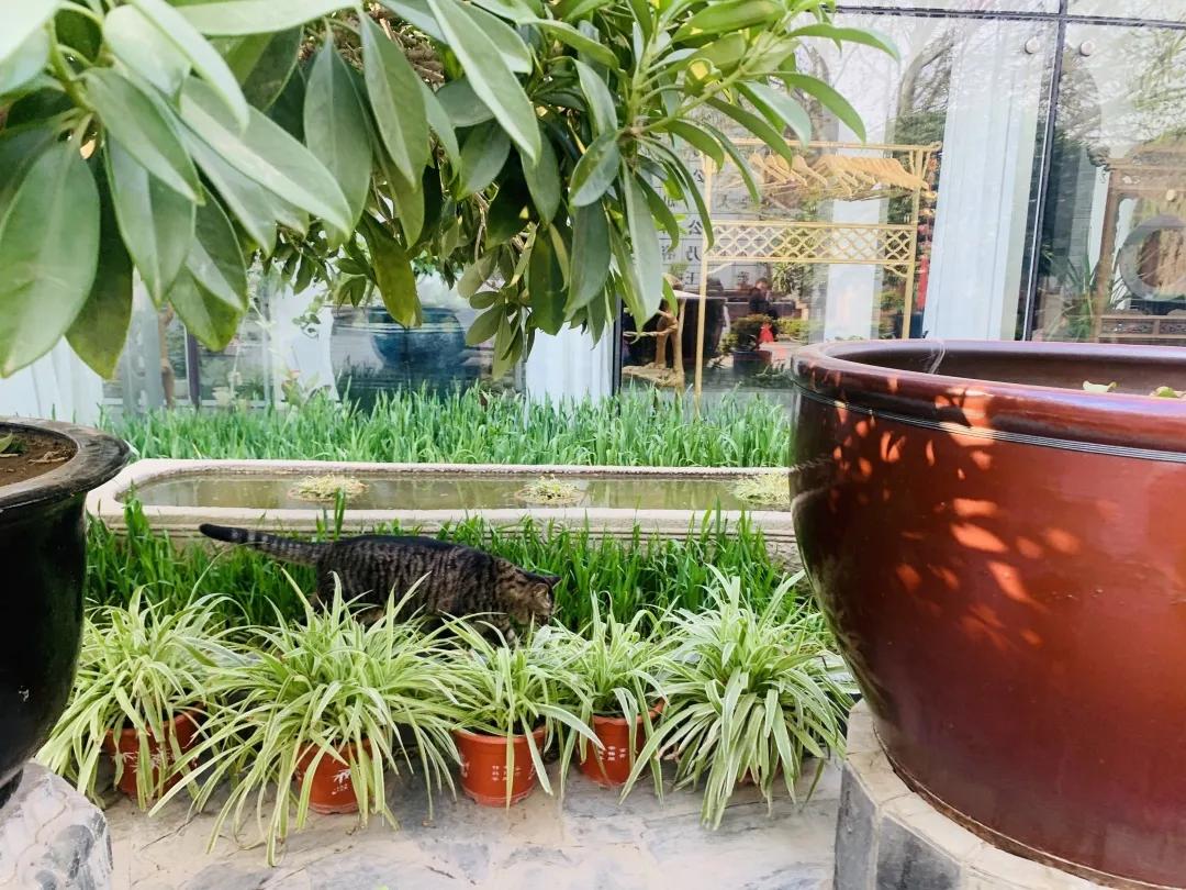 大家期盼的真实事件,掉缸事件怎么处理