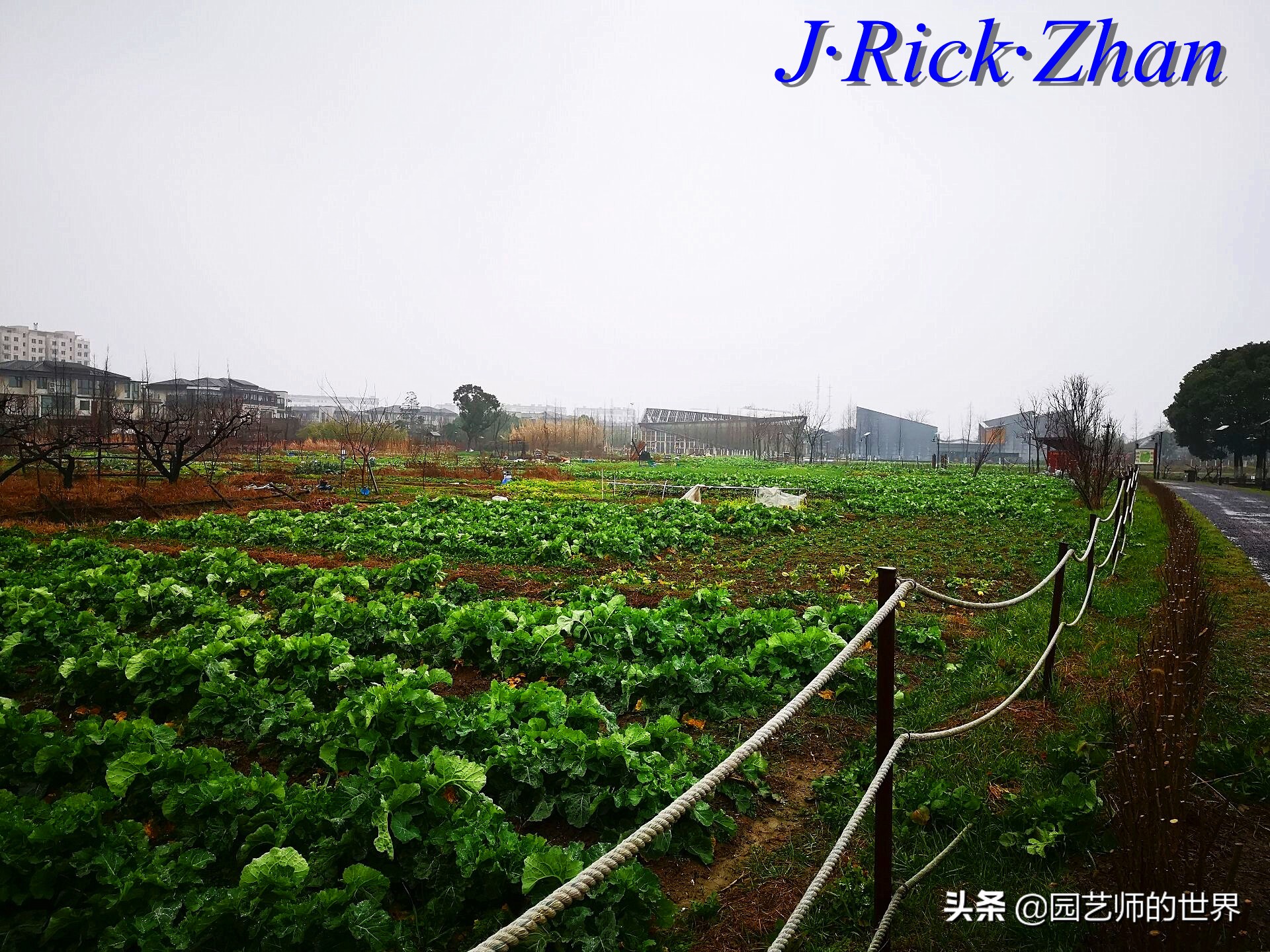 园艺研学报告,园艺园林研学