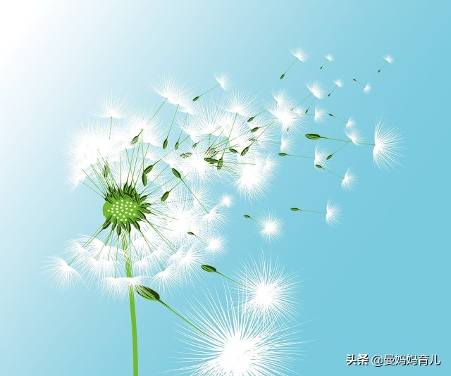 菩提树下的微笑,菩提树下微笑