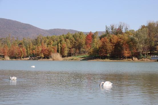 南京江宁区绿水青山,南京青山绿水蓝天白云