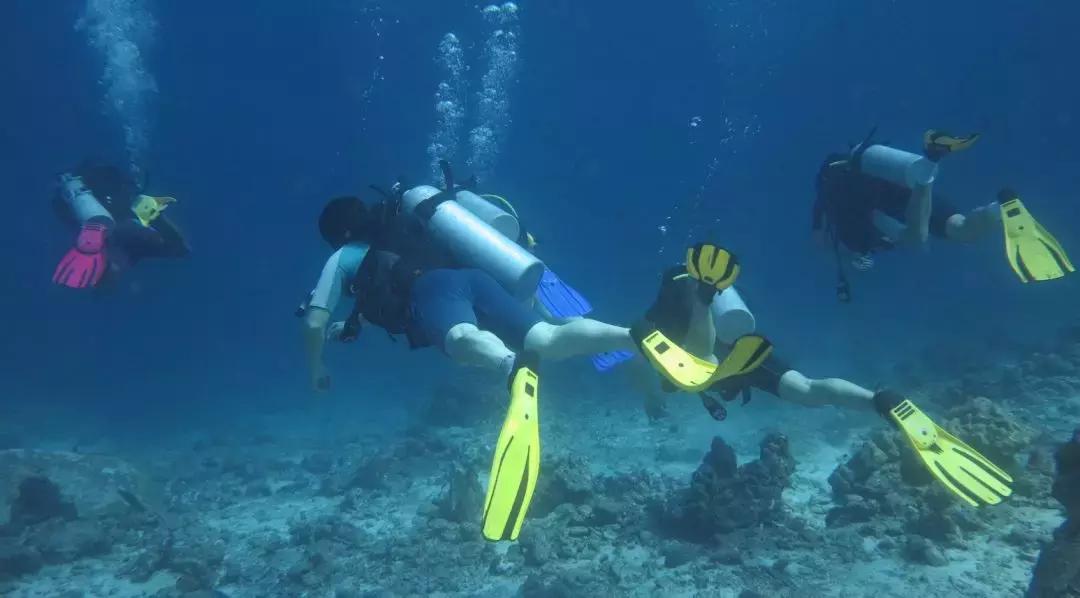 斯米兰潜水地攻略,斯米兰岛潜水一日游