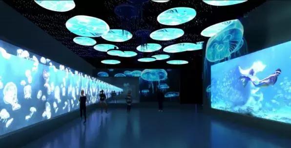 去南京金牛湖野生动物王国堵车吗,南京金牛湖野生动物王国最新活动