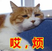 静音无叶风扇带加湿器,风扇小型静音可充电折叠