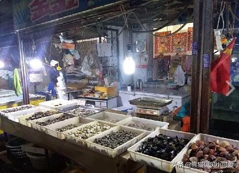 商铺故事100个,商铺历史由来与演变短片