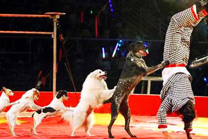 风车谷旅游区门票团购,风车门票9.9