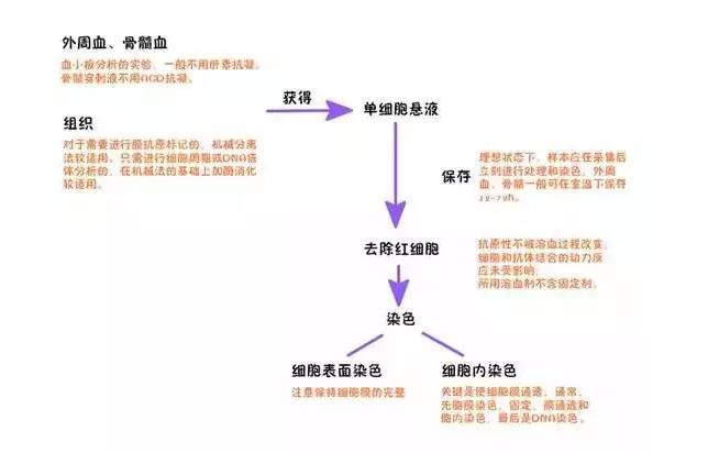 细胞实验基本操作,流式细胞实验操作视频