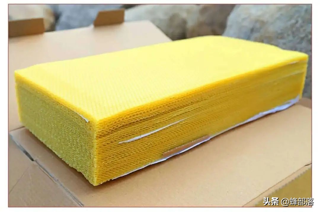 从未用过巢础的野生蜜蜂,家养时需要定期更换,商家赚钱的手段?