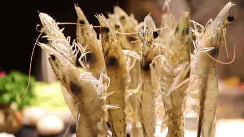 寰愬窞鐏攨铏炬粦,寰愬窞绗竴铏炬粦