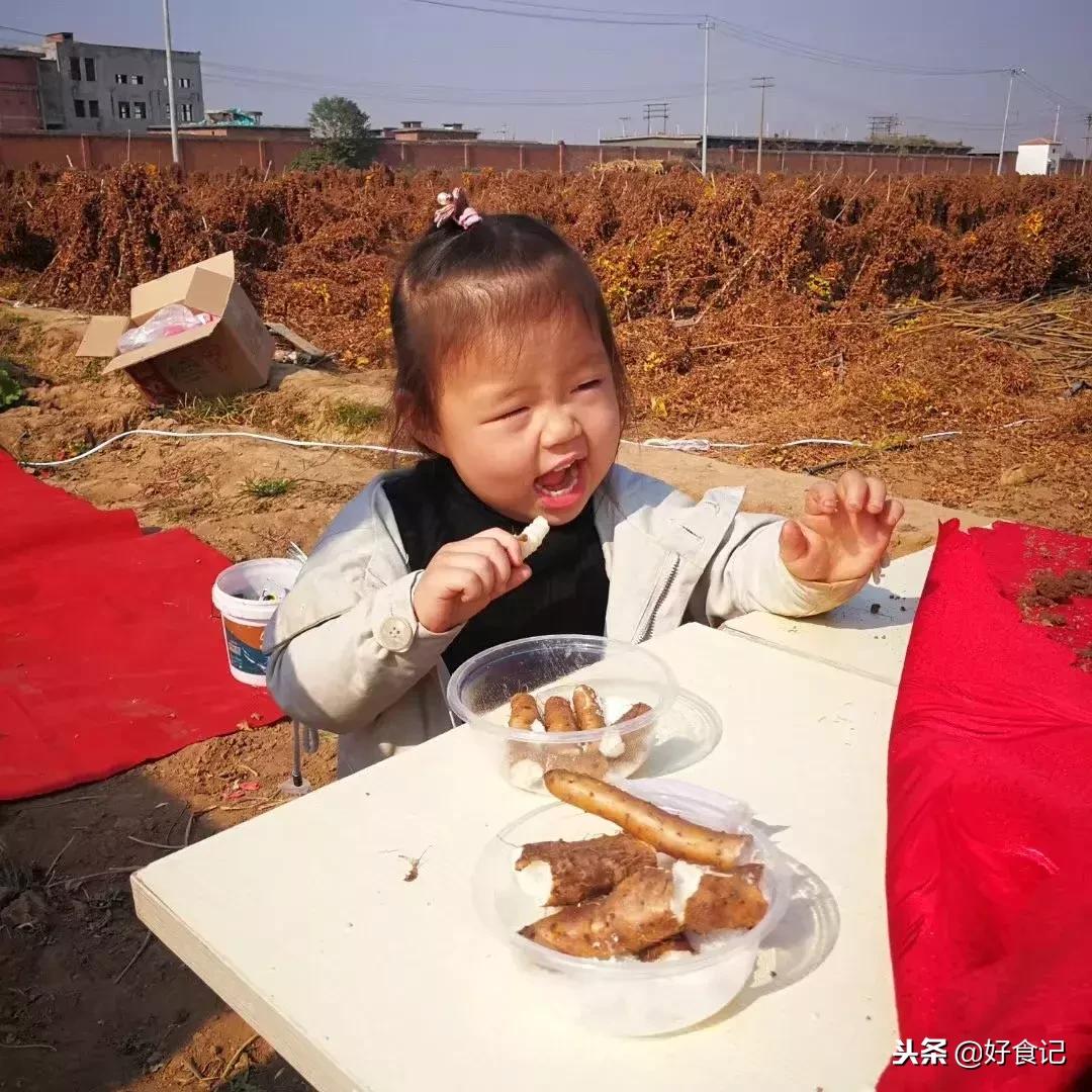 铁棍山药与普通山药哪种好吃,铁棍山药和小白嘴山药味道的区别