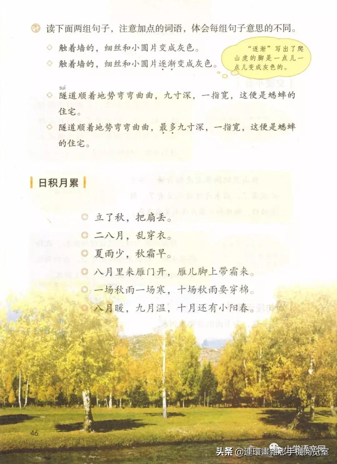 广西小学四年级上册语文课本,四年级的语文上册课本全部