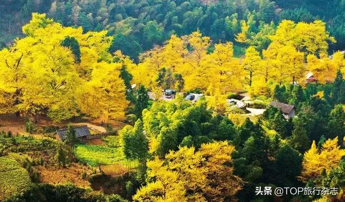 中国天然氧吧最好的去处在哪里,我国天然氧吧增56个