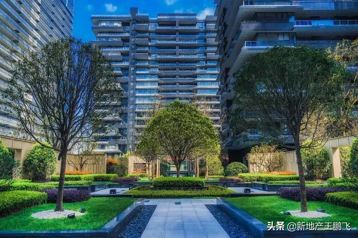 *瑰园玫**|曲江池畔的「叛逆少年」，匠心打磨的「凝固艺术」