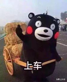 厦门旅游攻略怎么避免踩坑,厦门旅游攻略不去景点避雷