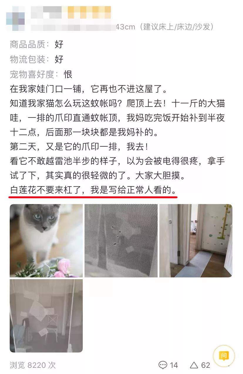 猫乱尿怎么办视频最火,猫乱尿怎么办有什么办法