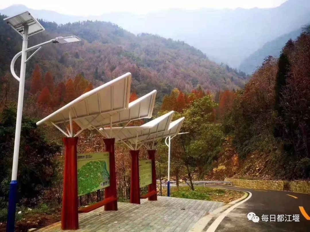 赵公山大熊猫国家生态公园,赵公山大熊猫生态公园