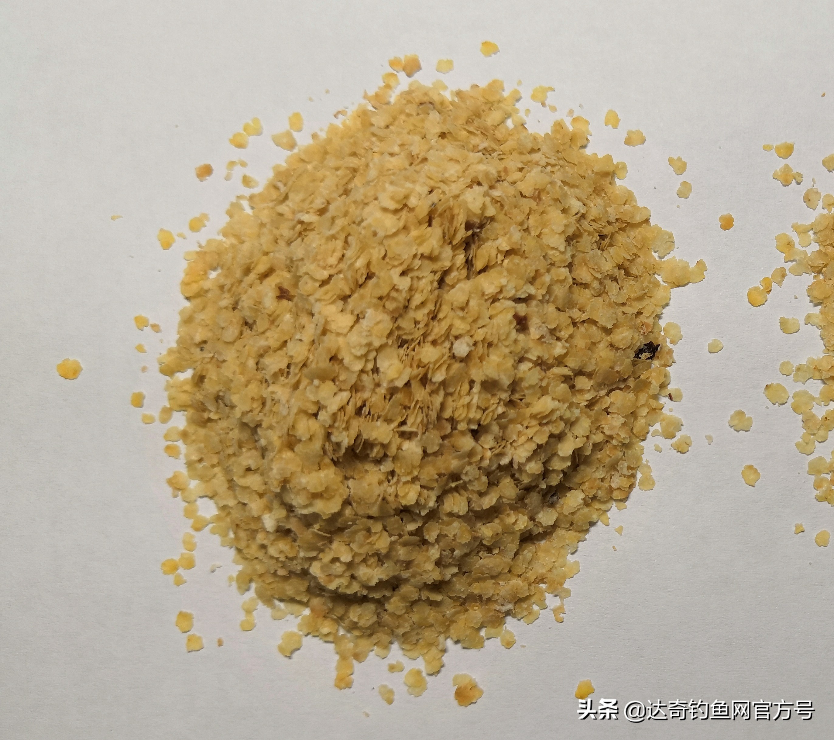 自制饵料配饵思路,自制特色饵料配方视频教程