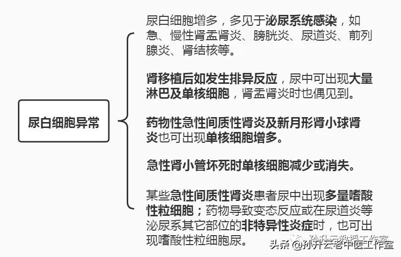 尿白细胞1000多红细胞700多,尿里有红细胞和白细胞是什么病