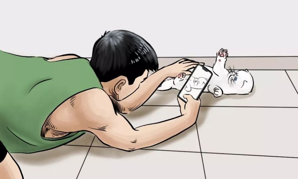 城市里养猫的人非富即贵,有多少人养猫家里有钱了