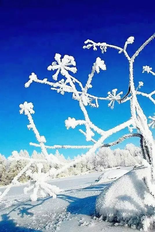 冬季的长白到底有多美？