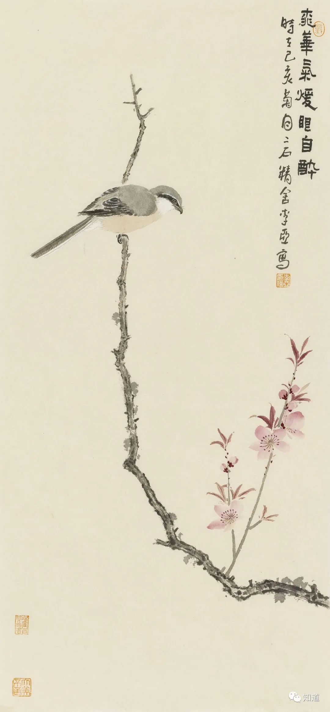 春天的脚步近了好像一切都醒来了,春天的脚步已经悄然而至