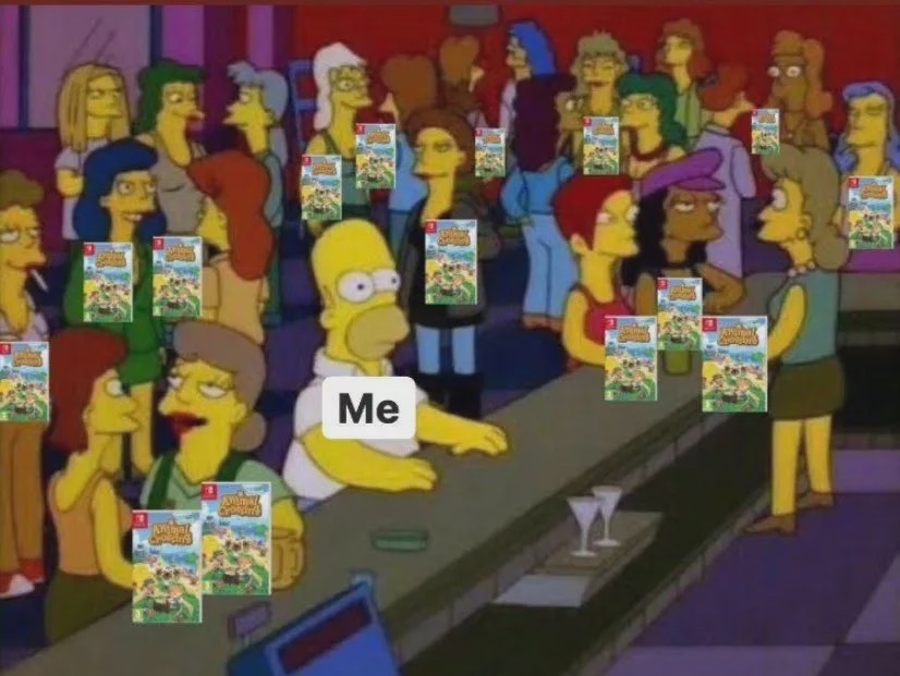 动物之森入门指南,动物之森有哪些注意事项