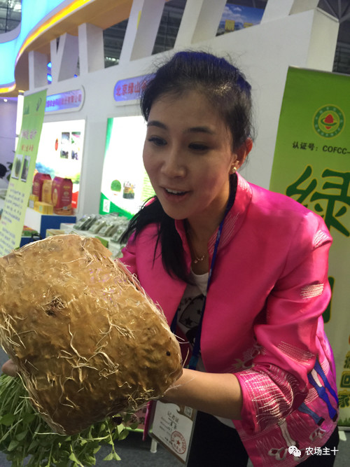 纸上种菜怎么赚钱,纸上种菜手把手教你