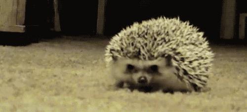 骨科张医生骨质增生,骨科赵医生骨质增生