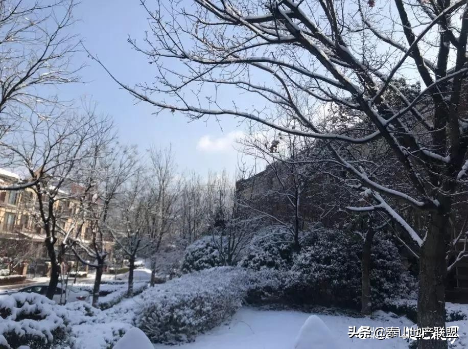 最美物业人霸气,最美物业人保安