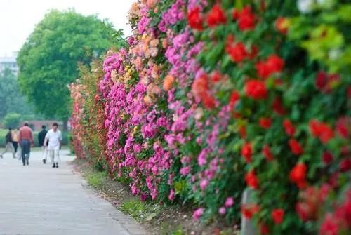 彭山景区活动购票,常德彭山景区游玩攻略图