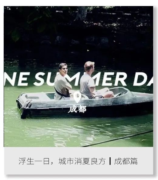 恋恋丽贝岛,人狗情未了|KohLipe