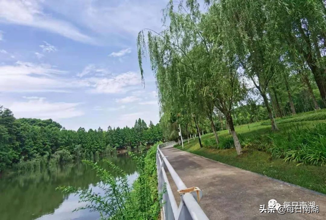 南湖的生态公园,南湖公园在未来哪里