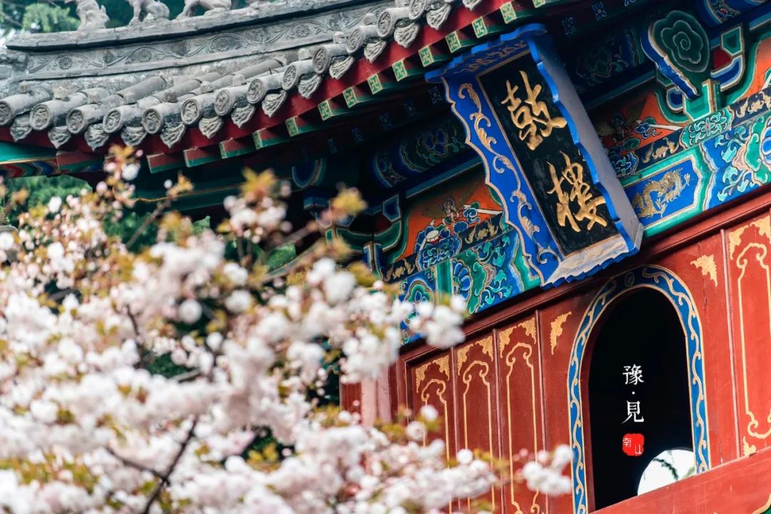 四月去哪儿旅游风景好看,三月旅游地推荐莫辜负迷人春色