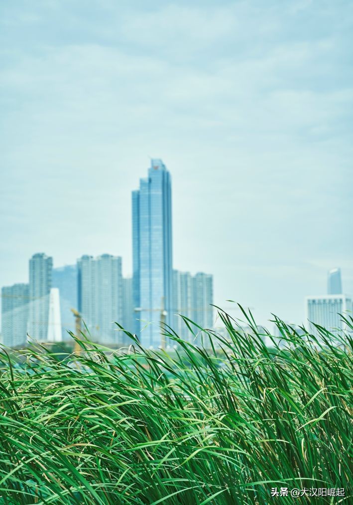 记忆为什么总是越来越模糊,记忆为什么会逐渐消失