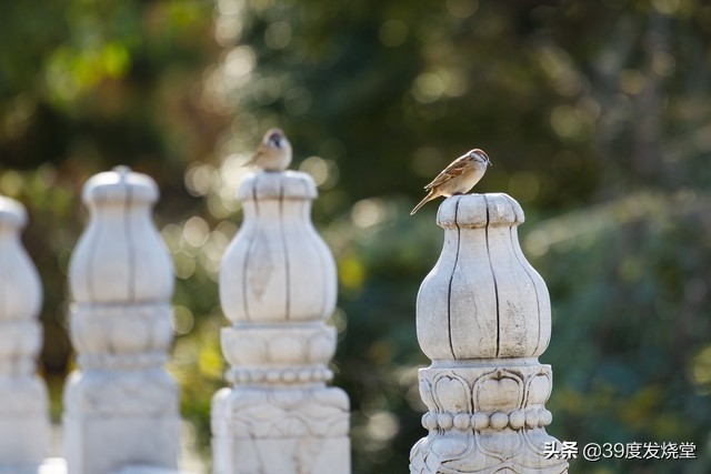 佳能rf70-200mmf4lisusm怎么样,佳能rf70-200mmf4usm镜头