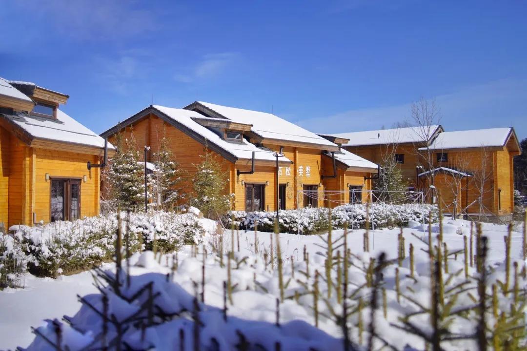 长白山怎么选酒店,长白山旅游攻略长白山西坡酒店