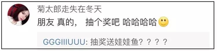 双11购物狂冠军视频,双11购物荒冠军排名