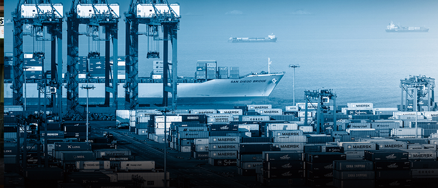 蛇口为什么是富人区,蛇口为什么叫招商