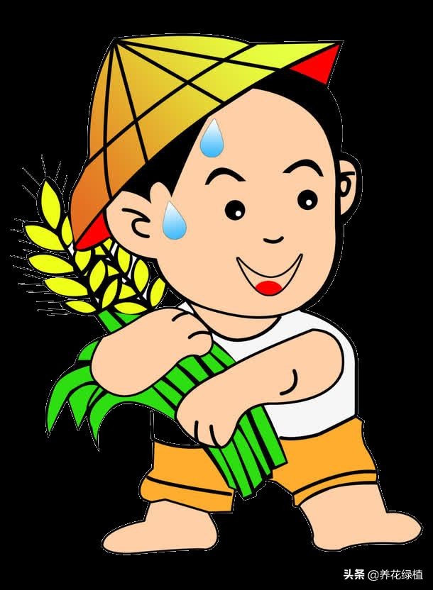 2021年是寡年,俗话:“寡年不见春,地收人不收”,什么意思