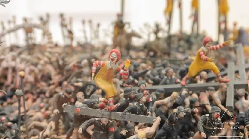 澳洲|春意堪培拉,看袋鼠、品酒、赏花、住进动物的家